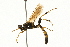 ( - 09BBEHY-0017)  @13 [ ] CreativeCommons - Attribution (2009) Unspecified Centre for Biodiversity Genomics