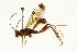  ( - 09BBEHY-0027)  @14 [ ] CreativeCommons - Attribution (2009) Unspecified Centre for Biodiversity Genomics
