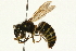 ( - 09BBEHY-0045)  @15 [ ] CreativeCommons - Attribution (2009) Unspecified Centre for Biodiversity Genomics