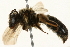  ( - 09BBEHY-0292)  @14 [ ] CreativeCommons - Attribution (2010) Unspecified Centre for Biodiversity Genomics