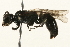  ( - 09BBEHY-0296)  @13 [ ] CreativeCommons - Attribution (2010) Unspecified Centre for Biodiversity Genomics