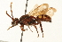  ( - 09BBEHY-0095)  @14 [ ] CreativeCommons - Attribution (2009) Unspecified Centre for Biodiversity Genomics