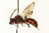  ( - 09BBEHY-0097)  @13 [ ] CreativeCommons - Attribution (2009) Unspecified Centre for Biodiversity Genomics