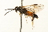  ( - 09BBEHY-0113)  @13 [ ] CreativeCommons - Attribution (2009) Unspecified Centre for Biodiversity Genomics