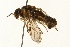  ( - 09BBEHY-0114)  @13 [ ] CreativeCommons - Attribution (2009) Unspecified Centre for Biodiversity Genomics