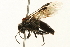  ( - 09BBEHY-0115)  @13 [ ] CreativeCommons - Attribution (2009) Unspecified Centre for Biodiversity Genomics