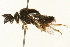  ( - 09BBEHY-0116)  @13 [ ] CreativeCommons - Attribution (2009) Unspecified Centre for Biodiversity Genomics
