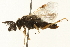  ( - 09BBEHY-0117)  @13 [ ] CreativeCommons - Attribution (2009) Unspecified Centre for Biodiversity Genomics