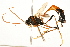  ( - 09BBEHY-0401)  @14 [ ] CreativeCommons - Attribution (2010) Unspecified Centre for Biodiversity Genomics