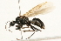  ( - 09BBEHY-0445)  @11 [ ] CreativeCommons - Attribution (2010) Unspecified Centre for Biodiversity Genomics