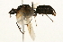  ( - 09BBEHY-0446)  @11 [ ] CreativeCommons - Attribution (2010) Unspecified Centre for Biodiversity Genomics