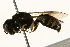  ( - 09BBEHY-0459)  @13 [ ] CreativeCommons - Attribution (2010) Unspecified Centre for Biodiversity Genomics