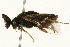  ( - 09BBEHY-0491)  @13 [ ] CreativeCommons - Attribution (2010) Unspecified Centre for Biodiversity Genomics
