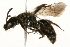  ( - 09BBEHY-0514)  @14 [ ] CreativeCommons - Attribution (2010) Unspecified Centre for Biodiversity Genomics