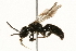  ( - 09BBEHY-0515)  @14 [ ] CreativeCommons - Attribution (2010) Unspecified Centre for Biodiversity Genomics