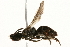  ( - 09BBEHY-0516)  @14 [ ] CreativeCommons - Attribution (2010) Unspecified Centre for Biodiversity Genomics