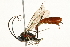  ( - 09BBEHY-0534)  @14 [ ] CreativeCommons - Attribution (2010) Unspecified Centre for Biodiversity Genomics