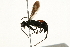  ( - 09BBEHY-0555)  @11 [ ] CreativeCommons - Attribution (2010) Unspecified Centre for Biodiversity Genomics