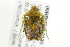  ( - 09BBHEM-0130)  @13 [ ] CreativeCommons - Attribution (2009) Unspecified Centre for Biodiversity Genomics