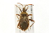  ( - 09BBHEM-0168)  @14 [ ] CreativeCommons - Attribution (2009) Unspecified Centre for Biodiversity Genomics