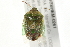  ( - 09BBHEM-0261)  @13 [ ] CreativeCommons - Attribution (2009) Unspecified Centre for Biodiversity Genomics