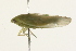  ( - 09BBHEM-0398)  @13 [ ] CreativeCommons - Attribution (2009) Unspecified Centre for Biodiversity Genomics
