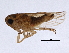  ( - BIOUG01236-C06)  @13 [ ] CreativeCommons - Attribution (2012) CBG Photography Group Centre for Biodiversity Genomics