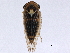  ( - BIOUG01236-C07)  @12 [ ] CreativeCommons - Attribution (2012) CBG Photography Group Centre for Biodiversity Genomics