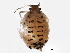  ( - BIOUG01236-G11)  @12 [ ] CreativeCommons - Attribution (2012) CBG Photography Group Centre for Biodiversity Genomics