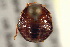  ( - BIOUG02200-F08)  @12 [ ] CreativeCommons - Attribution (2012) CBG Photography Group Centre for Biodiversity Genomics