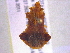 ( - BIOUG02202-C02)  @12 [ ] CreativeCommons - Attribution (2013) CBG Photography Group Centre for Biodiversity Genomics