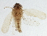  ( - BIOUG02319-D12)  @13 [ ] CreativeCommons - Attribution (2012) CBG Photography Group Centre for Biodiversity Genomics