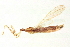  ( - BIOUG02556-D08)  @12 [ ] CreativeCommons - Attribution (2013) CBG Photography Group Centre for Biodiversity Genomics