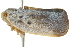  ( - BIOUG02097-F06)  @13 [ ] CreativeCommons - Attribution (2012) CBG Photography Group Centre for Biodiversity Genomics