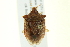  ( - BIOUG02209-F06)  @14 [ ] CreativeCommons - Attribution (2013) CBG Photography Group Centre for Biodiversity Genomics