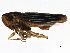  ( - BIOUG02053-G05)  @13 [ ] CreativeCommons - Attribution (2012) CBG Photography Group Centre for Biodiversity Genomics