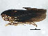  ( - BIOUG02053-G08)  @13 [ ] CreativeCommons - Attribution (2012) CBG Photography Group Centre for Biodiversity Genomics