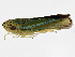  ( - BIOUG02053-G12)  @14 [ ] CreativeCommons - Attribution (2012) CBG Photography Group Centre for Biodiversity Genomics