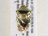  ( - BIOUG02209-D01)  @15 [ ] CreativeCommons - Attribution (2013) CBG Photography Group Centre for Biodiversity Genomics