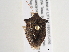  ( - BIOUG02209-F05)  @14 [ ] CreativeCommons - Attribution (2013) CBG Photography Group Centre for Biodiversity Genomics