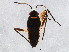  ( - BIOUG02305-E12)  @13 [ ] CreativeCommons - Attribution (2012) CBG Photography Group Centre for Biodiversity Genomics