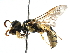  ( - BIOUG02476-H07)  @14 [ ] CreativeCommons - Attribution (2016) CBG Photography Group Centre for Biodiversity Genomics