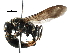  ( - BIOUG02484-H04)  @13 [ ] CreativeCommons - Attribution (2016) CBG Photography Group Centre for Biodiversity Genomics