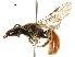  ( - BIOUG02485-E06)  @13 [ ] CreativeCommons - Attribution (2018) CBG Photography Group Centre for Biodiversity Genomics
