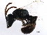  ( - BIOUG02575-B06)  @13 [ ] CreativeCommons - Attribution (2018) CBG Photography Group Centre for Biodiversity Genomics
