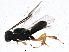  ( - BIOUG02575-C01)  @14 [ ] CreativeCommons - Attribution (2013) CBG Photography Group Centre for Biodiversity Genomics