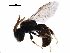  ( - BIOUG02577-A10)  @12 [ ] CreativeCommons - Attribution (2018) CBG Photography Group Centre for Biodiversity Genomics