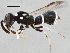  ( - BIOUG02577-D08)  @12 [ ] CreativeCommons - Attribution (2013) CBG Photography Group Centre for Biodiversity Genomics