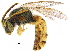  ( - BIOUG02580-E08)  @14 [ ] CreativeCommons - Attribution (2018) CBG Photography Group Centre for Biodiversity Genomics