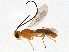  ( - BIOUG02581-C08)  @13 [ ] CreativeCommons - Attribution (2013) CBG Photography Group Centre for Biodiversity Genomics
